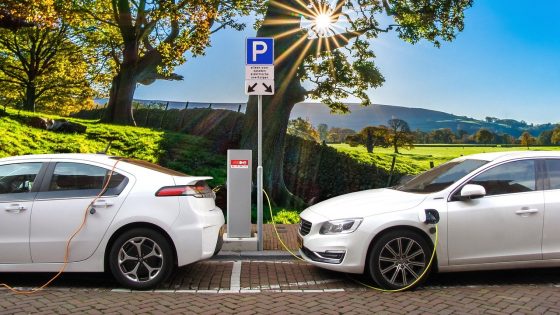 Los coches eléctricos en auge, Tesla en fuerte declive
